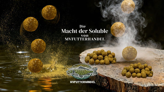 Die Macht der Soluble Boilie, auf der Jagd nach dem Karpfen